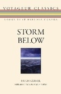 Cover: Storm Below - Dundurn Group Ltd