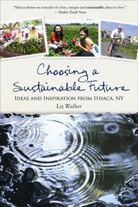 Enlarge image Cover: Choosing a Sustainable Future - New Society Publishers