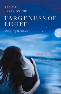 Enlarge image Cover: A Small Essay on the Largeness of Light and Other Poems - Exile Editions