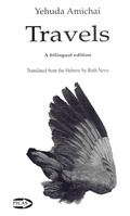 Cover: The Sleeping Lady - Exile Editions