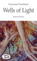 Cover: Wells of Light - Exile Editions