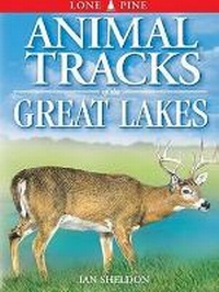 Enlarge image Cover: Animal Tracks of the Great Lakes - Lone Pine Publishing,Canada