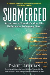 Enlarge image Cover: Submerged - Newmarket Press,U.S.