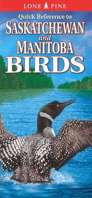 Enlarge image Cover: Quick Reference to Saskatchewan And Manitoba Birds - Lone Pine Publishing,Canada