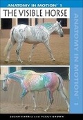 Cover: Visible Horse: v. 1 - Trafalgar Square
