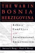Cover: The War in Bosnia-Herzegovina - Routledge