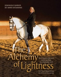 Abbildung von: The Alchemy of Lightness - Trafalgar Square