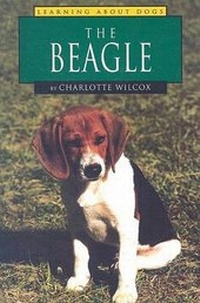 Enlarge image Cover: The Beagle - Capstone Press