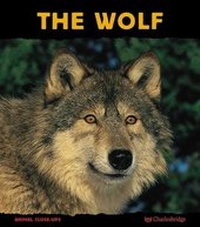 Enlarge image Cover: The Wolf - Charlesbridge Publishing