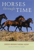 Cover: Horses through Time - Roberts Rinehart Publishers