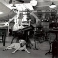 Cover: Adventures of Eugene Lee - Theatre Communications Group Inc.,U.S.