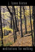 Cover: Meditations for Walking - Smyth & Helwys,U.S.