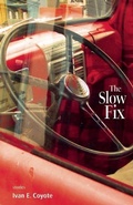 Cover: The Slow Fix - Arsenal Pulp Press