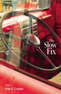 Cover: The Slow Fix - Arsenal Pulp Press