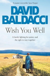 Abbildung von: Wish You Well - Pan Books