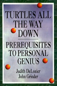 Enlarge image Cover: Turtles All the Way Down - Metamorphous Press,U.S.