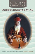 Cover: Compassionate Action - Snow Lion Publications