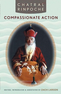 Enlarge image Cover: Compassionate Action - Snow Lion Publications