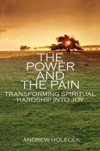 Enlarge image Cover: The Power and the Pain - Snow Lion