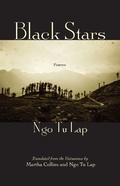 Cover: Black Stars - Milkweed Editions