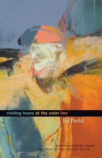 Enlarge image Cover: Visiting Hours at the Color Line - Milkweed Editions