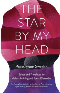 Abbildung von: The Star by My Head - Milkweed Editions