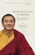 Cover: Penetrating Wisdom - Snow Lion Publications
