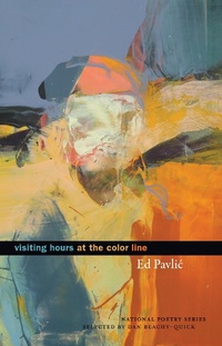 Enlarge image Cover: Visiting Hours at the Color Line - Milkweed Editions