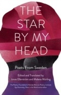 Cover: The Star by My Head - Milkweed Editions