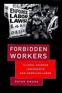 Enlarge image Cover: Forbidden Workers - New Press