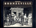 Cover: Bronzeville - The New Press