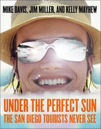 Enlarge image Cover: Under the Perfect Sun - The New Press