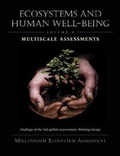Cover: Ecosystems and Human Well-Being: Multiscale Assessments - Island Press