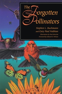 Enlarge image Cover: The Forgotten Pollinators - Island Press