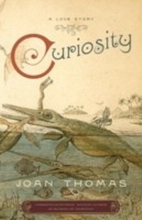 Enlarge image Cover: Curiosity - McClelland & Stewart