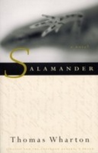 Enlarge image Cover: Salamander - McClelland & Stewart
