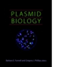 Abbildung von: Plasmid Biology - American Society for Microbiology