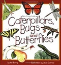 Cover: Caterpillars, Bugs and Butterflies - Northword Press,U.S.