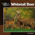 Cover: Whitetail Deer - Bookwise International
