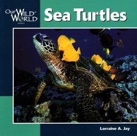 Enlarge image Cover: Sea Turtles - Northword Press,U.S.