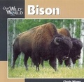 Cover: Bison - Bookwise International