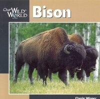 Enlarge image Cover: Bison - Bookwise International