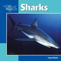 Cover: Sharks - Northword Press,U.S.