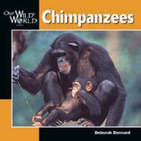 Enlarge image Cover: Chimpanzees - Northword Press,U.S.