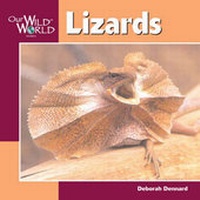 Enlarge image Cover: Lizards - Northword Press,U.S.