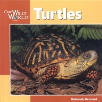 Enlarge image Cover: Turtles - Northword Press,U.S.