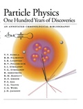 Cover: Particle Physics - American Institute of Physics