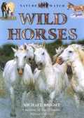 Cover: Wild Horses - Northword Press,U.S.