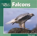 Cover: Falcons - Northword Press,U.S.