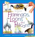 Cover: Flamingos, Loons & Pelicans - Northword Press,U.S.